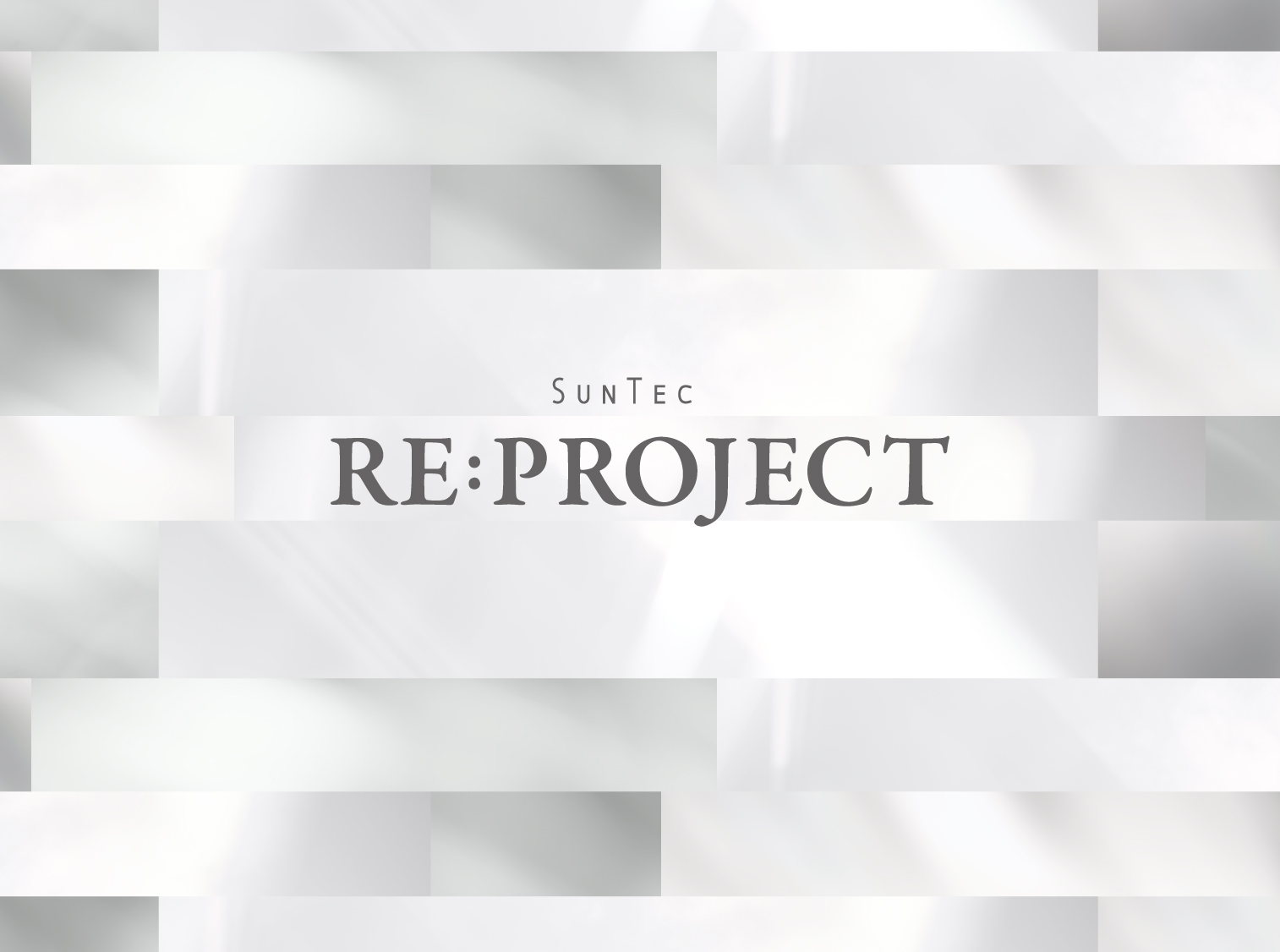 RE:Project