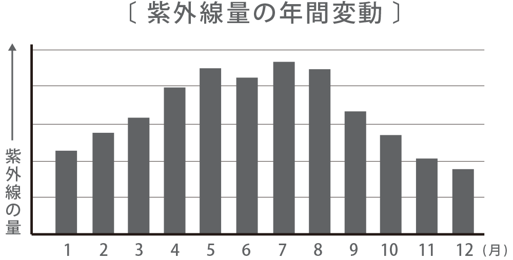 紫外線量の年間変動グラフ